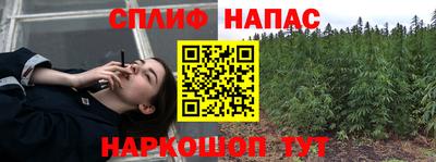прущие грибы Долгопрудный